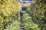 2° Trofeo CX Nalles